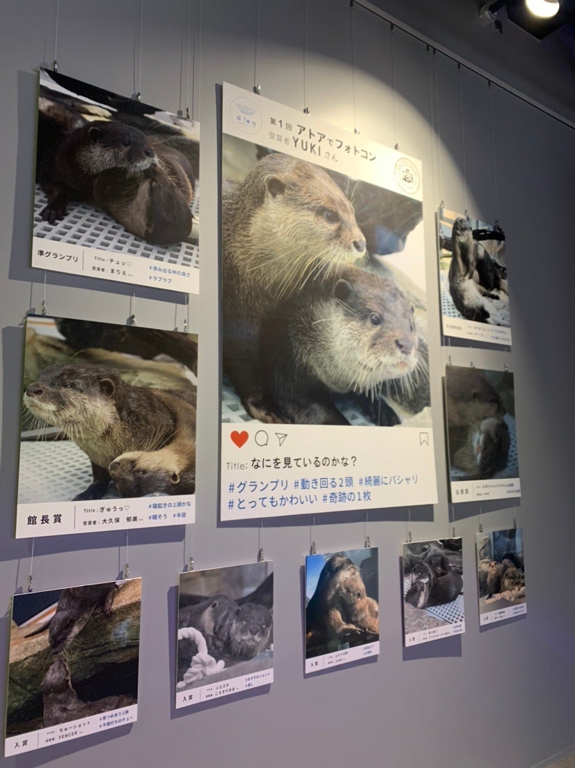 受賞作品の展示の様子