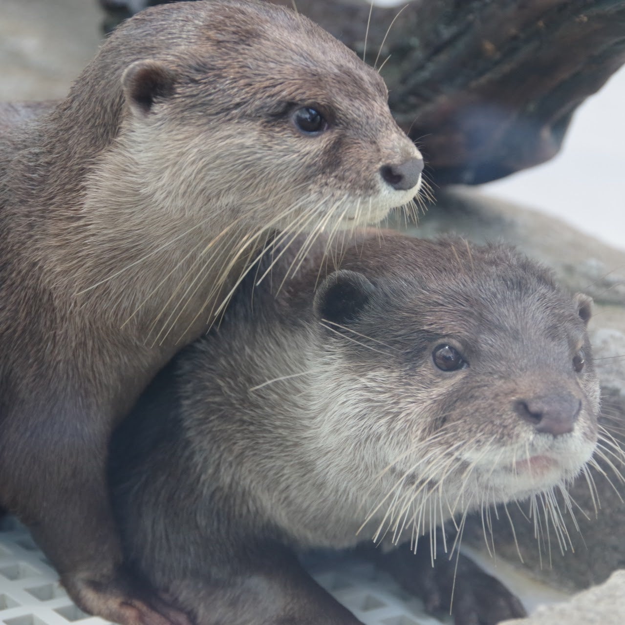 『第1回アトアでフォトコン』グランプリ受賞作品