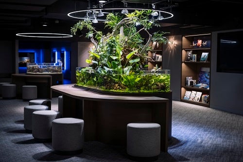 スマートアクアリウム静岡　（館内：Discovery）