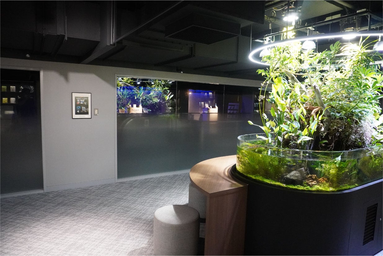 ディスカバリー