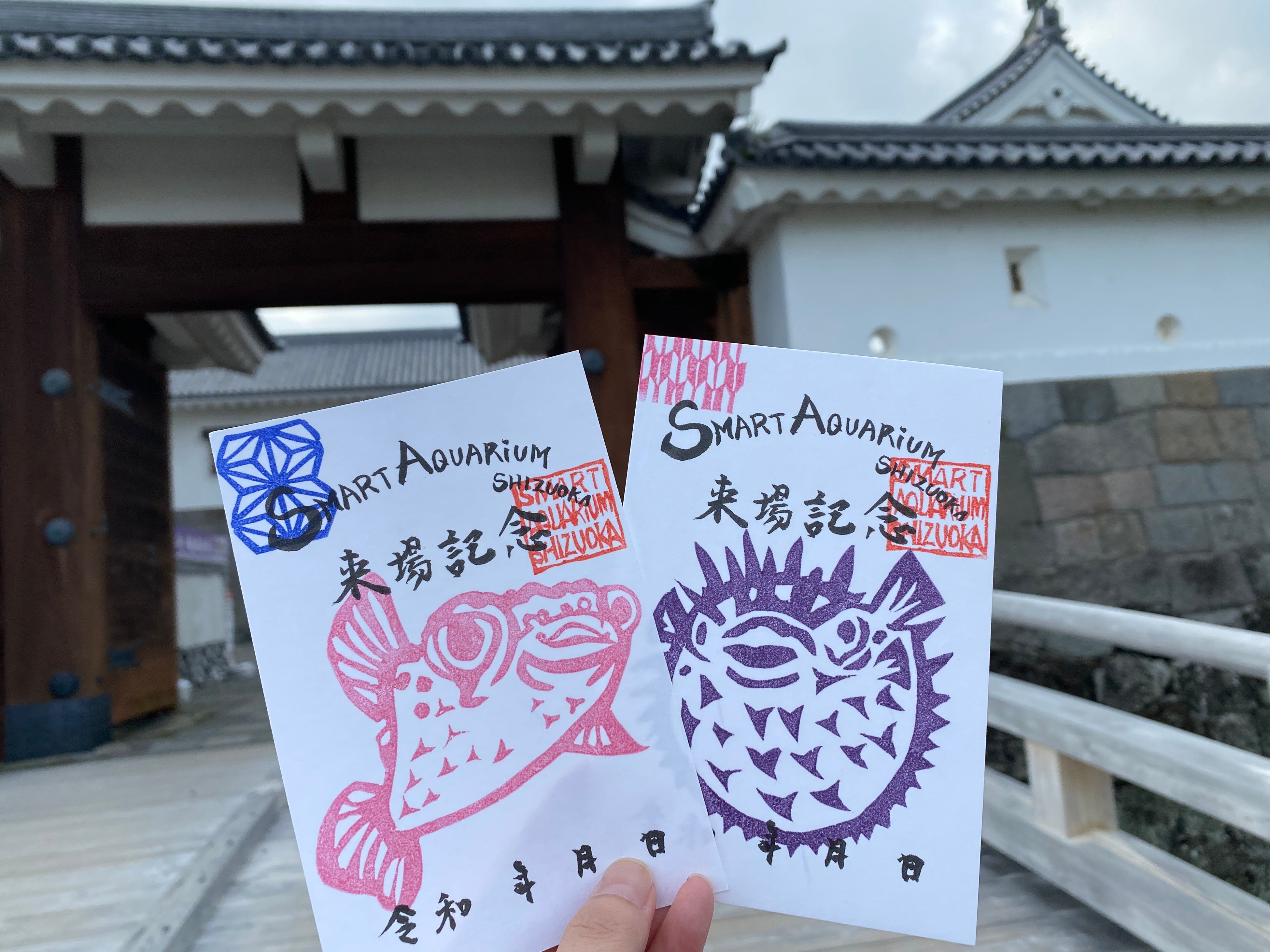 スマートアクアリウム静岡「魚朱印（ハリセンボン）」
