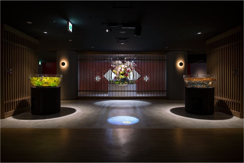 和むエリア「通常照明」