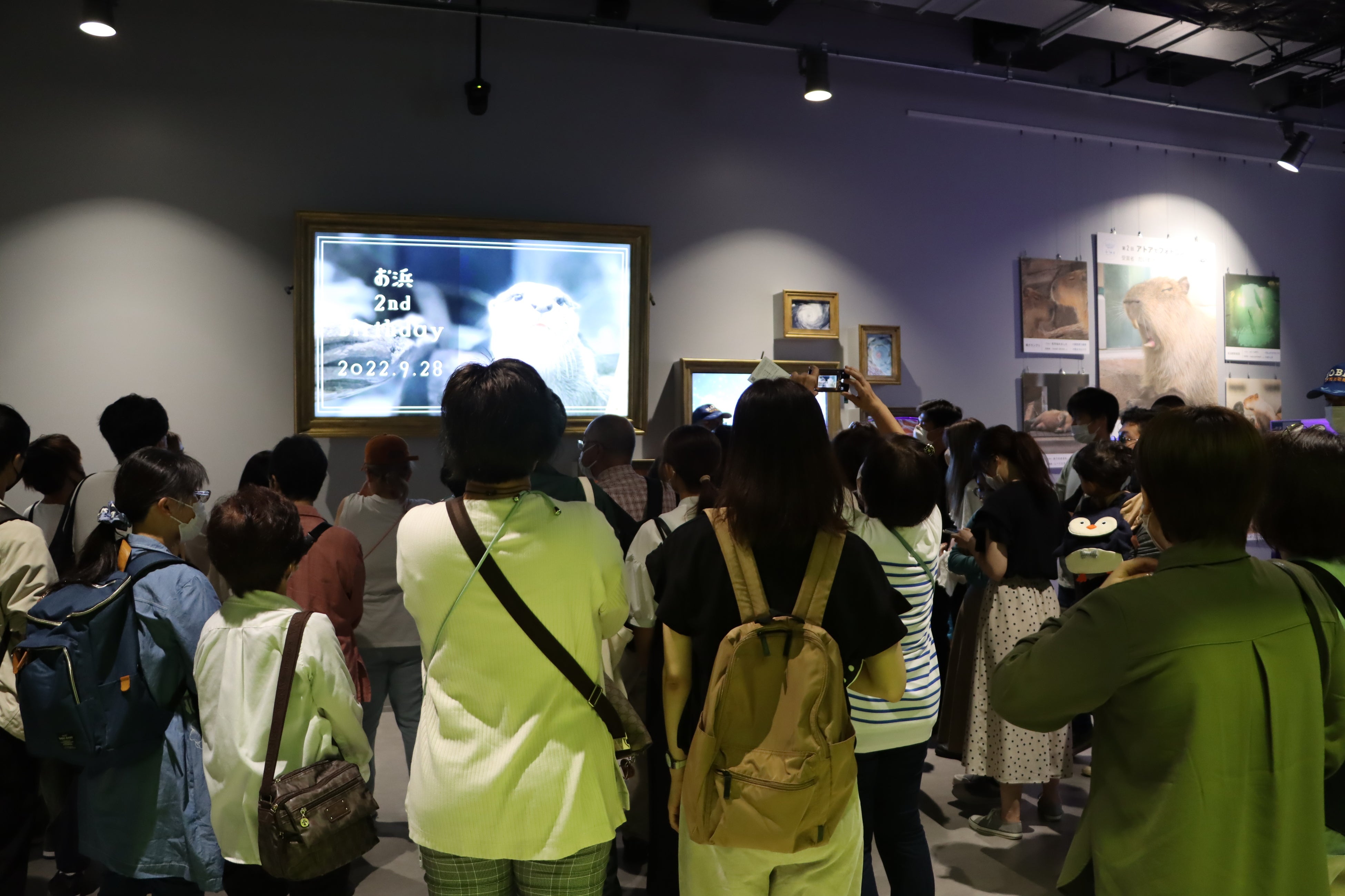 コツメカワウソ「お浜」誕生日会場の様子