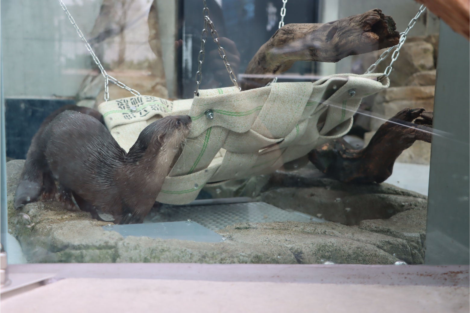 消防ホースを再利用したハンモックに興味を持つ「お浜」