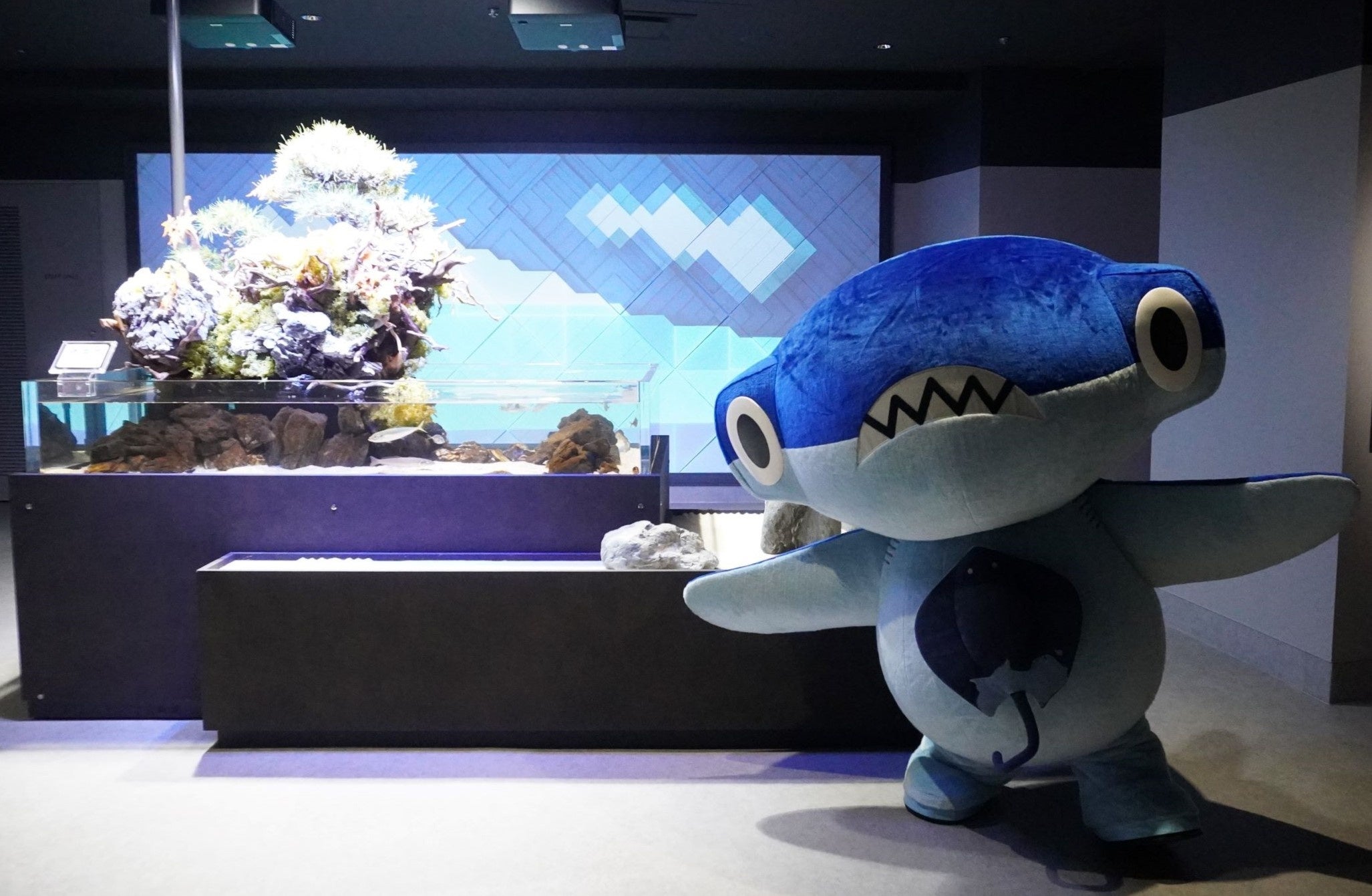 ご当地キティ アクアリウム 水族館 4個セット 楽天市場】ミニ水槽 ブロック水族館 水槽セット アクアリウム 魚