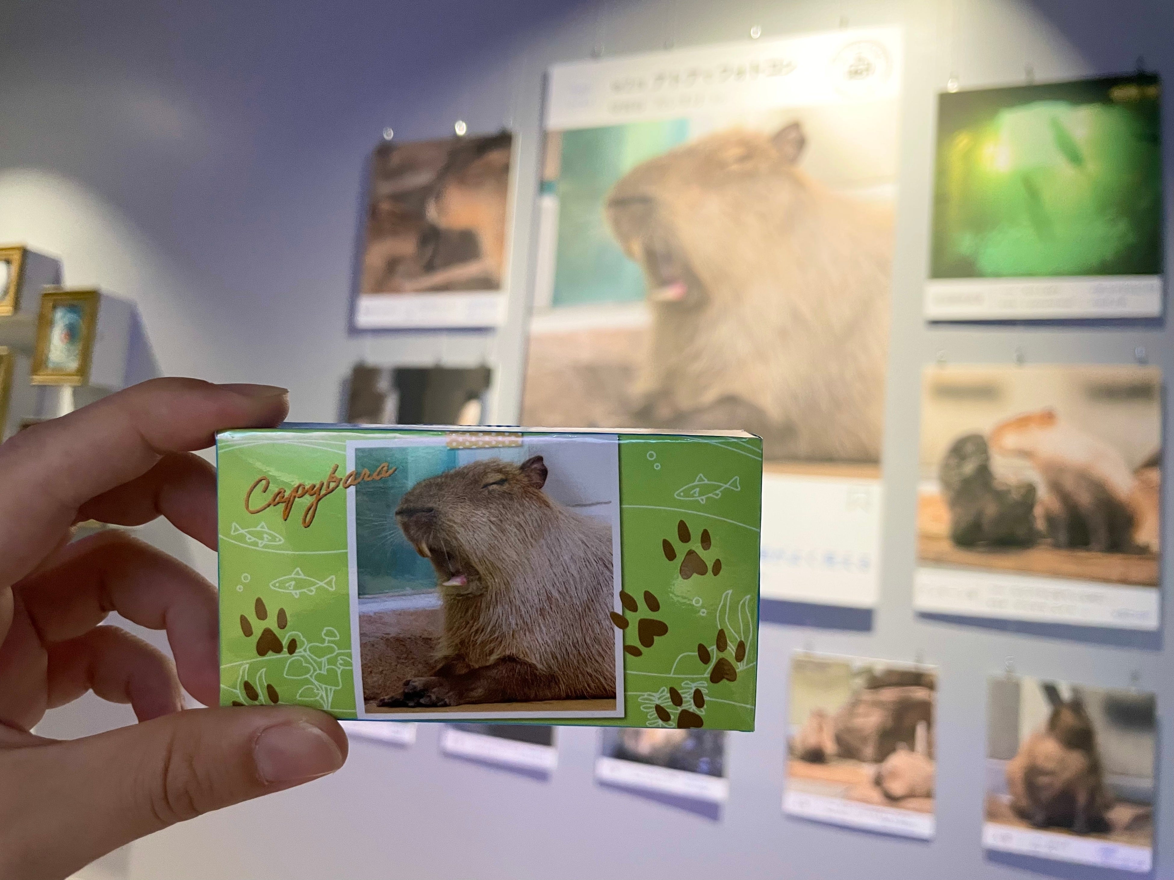 第2回フォトコンの受賞作品と黒糖キャラメル