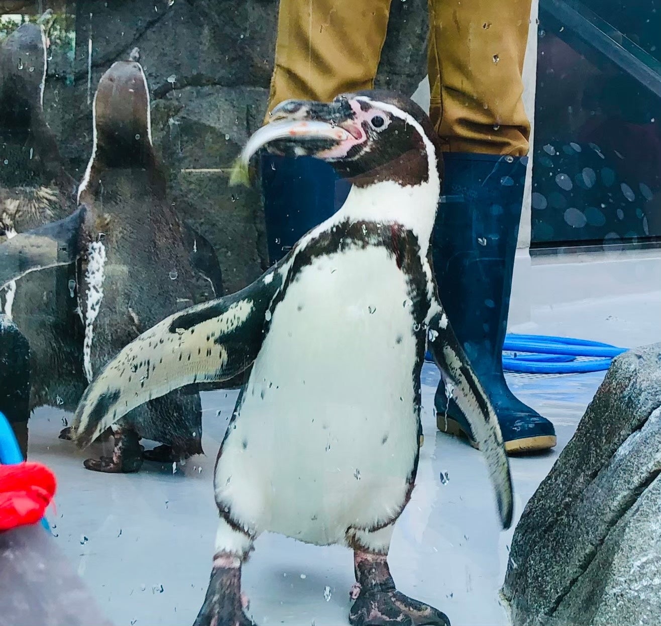 作品名：お食事中、受賞者：杏 さん