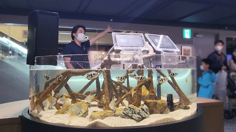 飼育員が給餌解説をしている様子