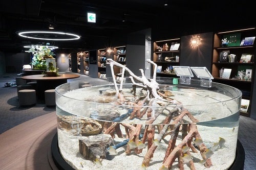 Discoveryで水槽を展示している様子