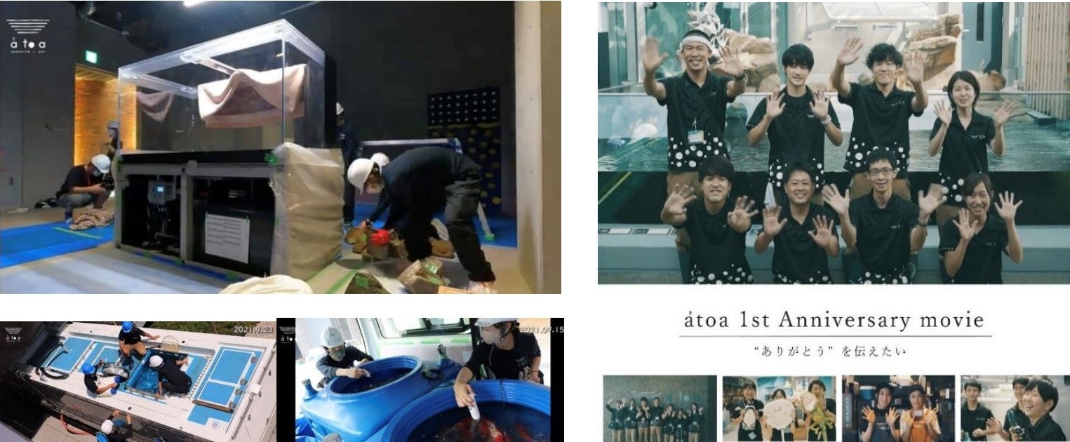 （左）開業前動画（右）átoa 1st Anniversary movie