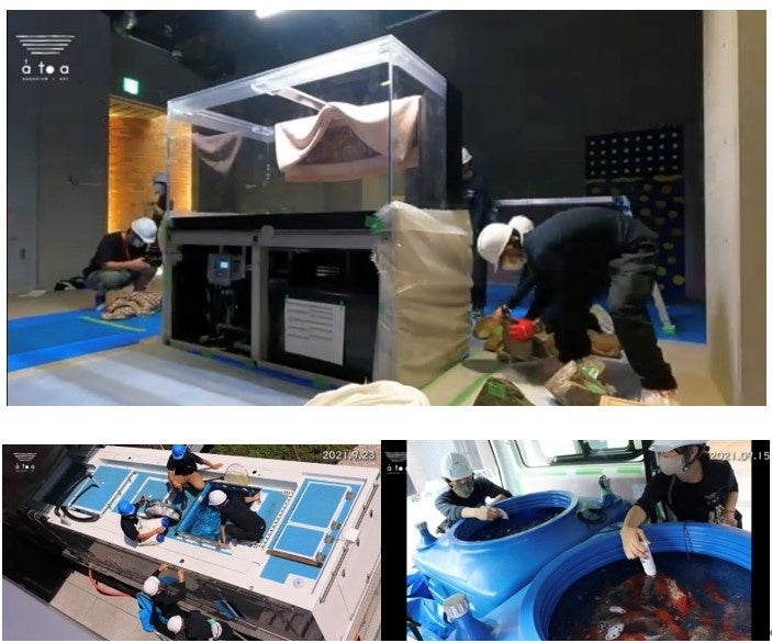 開業前の秘蔵映像