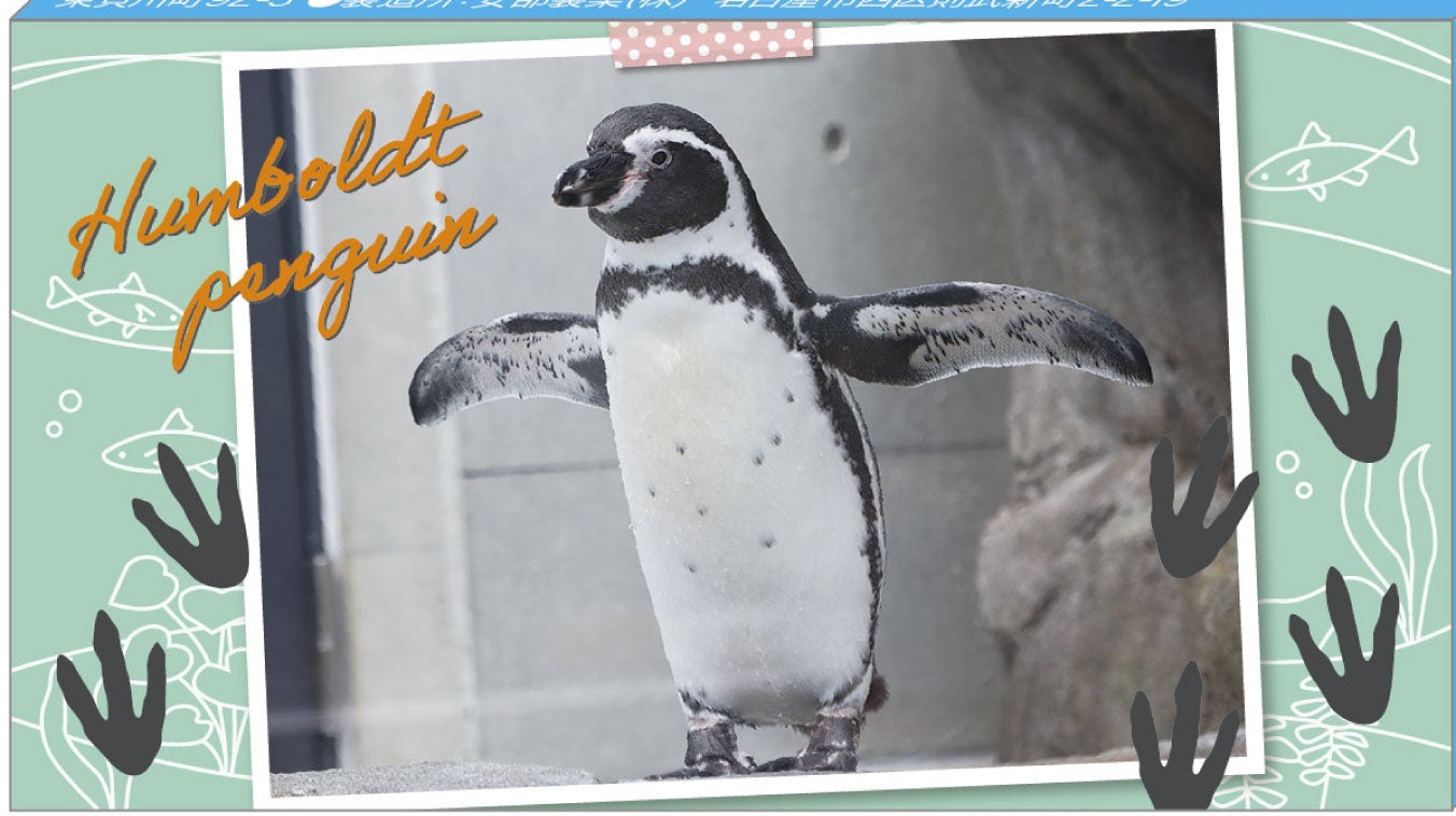 新登場の黒糖キャラメルパッケージ