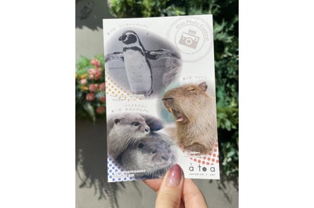 Kltiucl7juacem Kltiucl7juacem