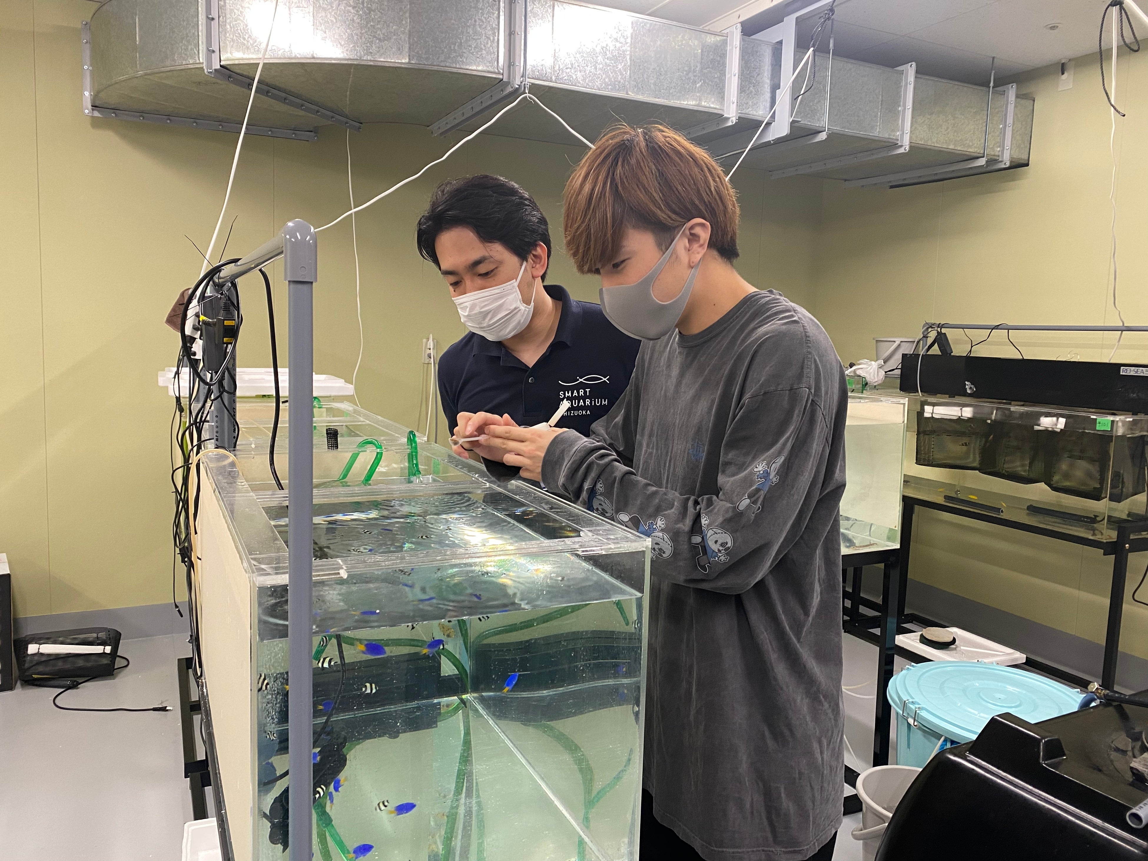 飼育員体験をしている様子