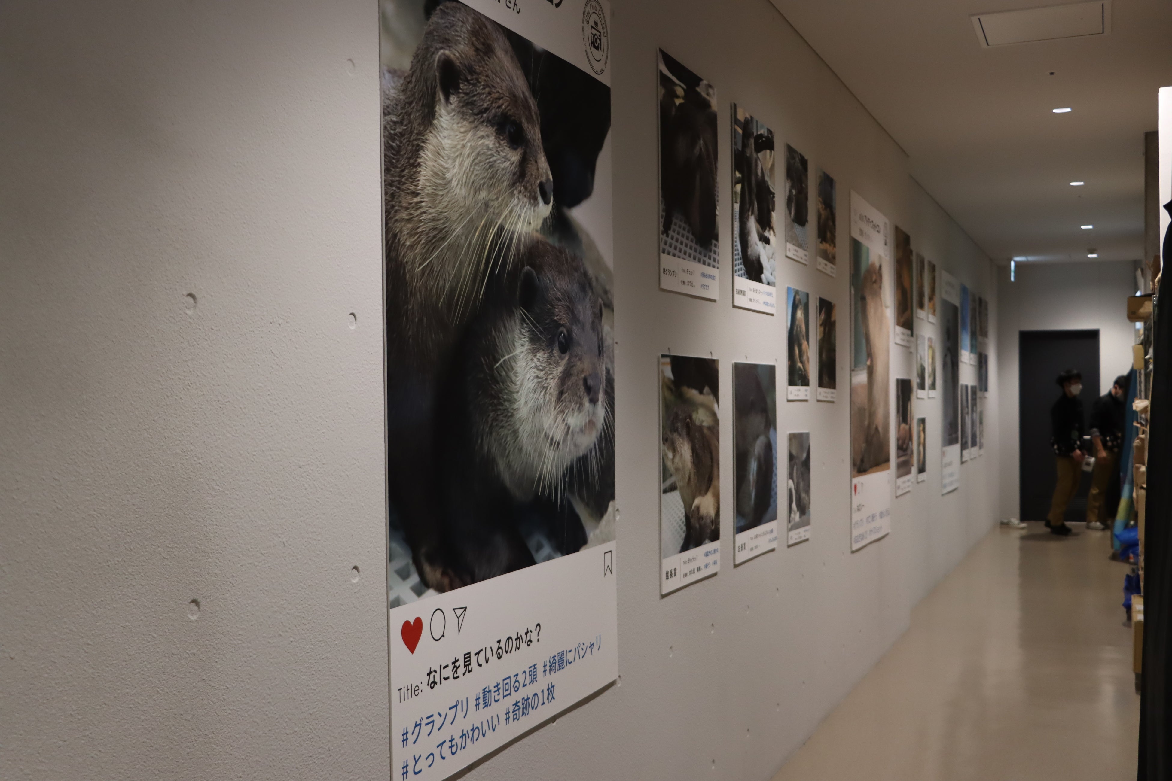 △館内裏側にて掲示されているフォトコン受賞作品