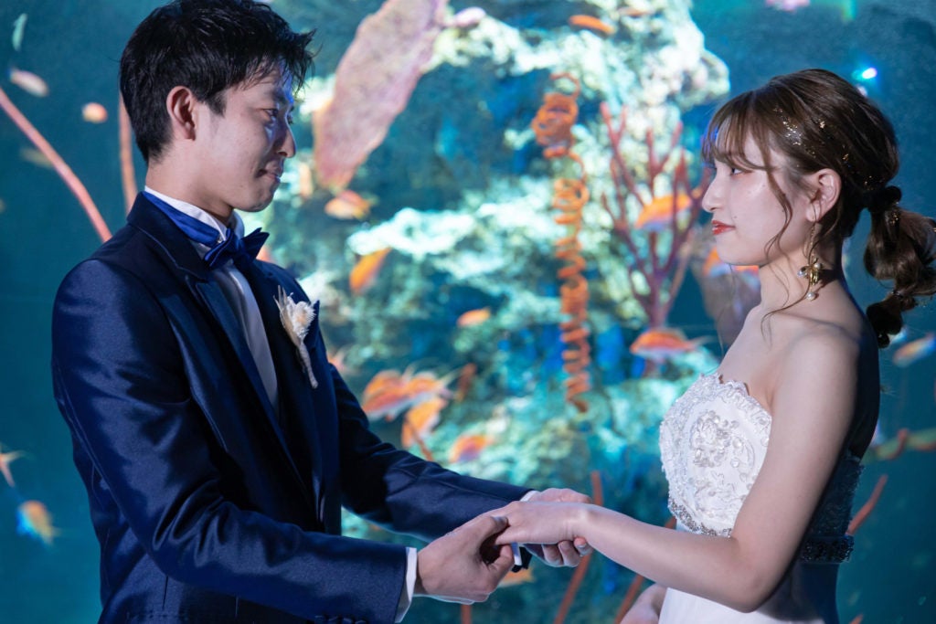 PLANETSで撮影した写真（イメージ）