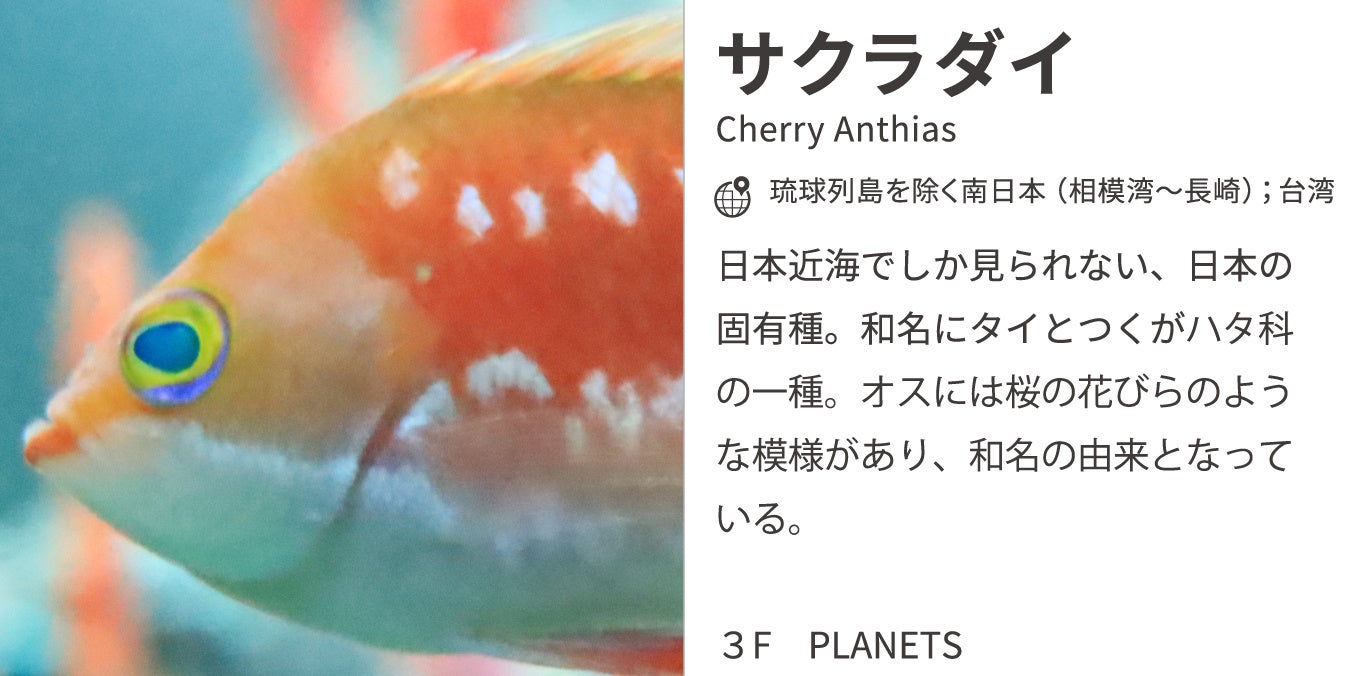 飼育員監修解説