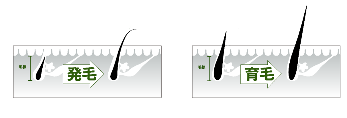 【新品】B.T.X-X ブロウセラム 色素沈着を起こさない美容液 3f5b7476ff67eb0329038c662e7abf