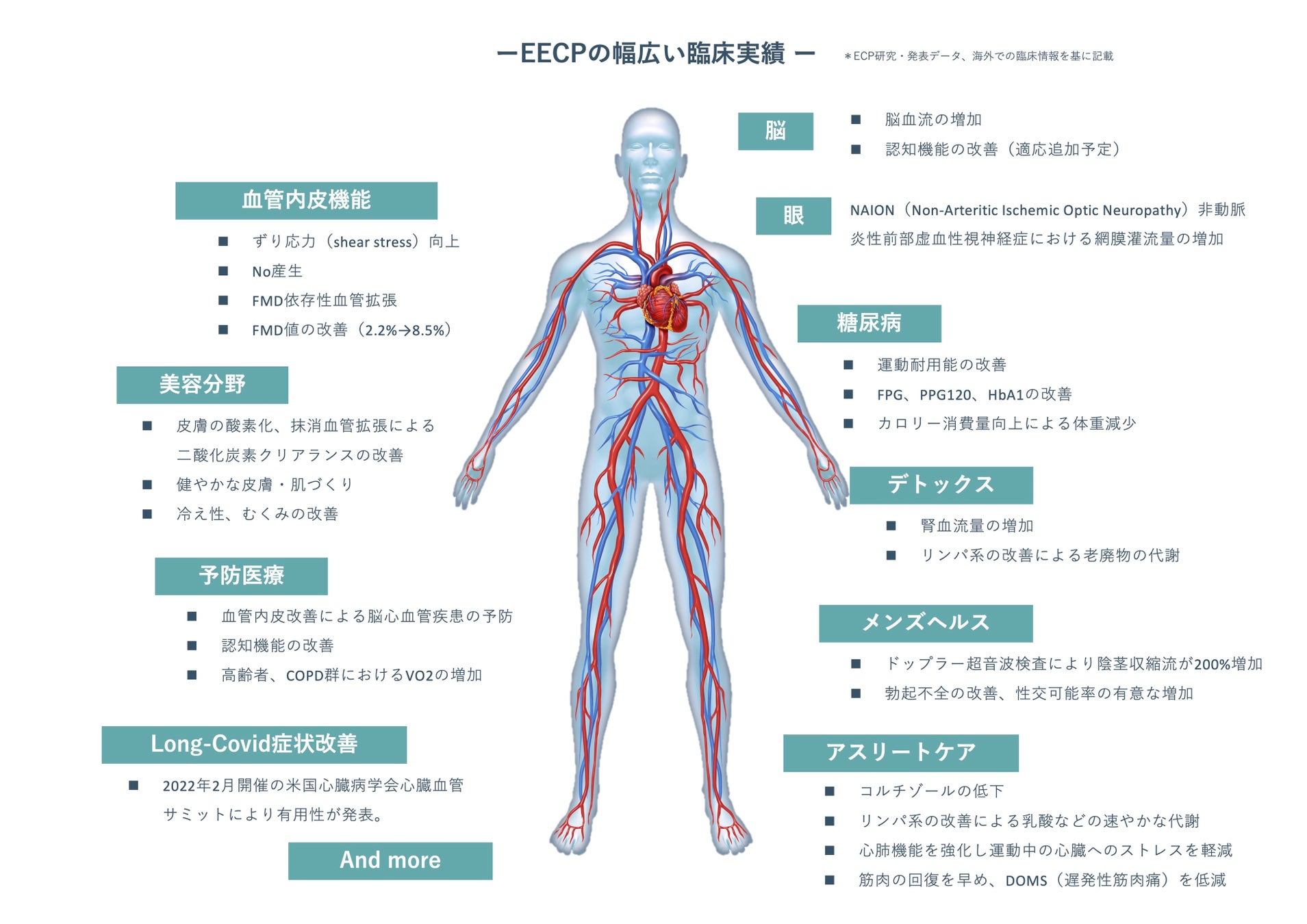 血液循環の強化は全身様々な良い影響が期待できる。