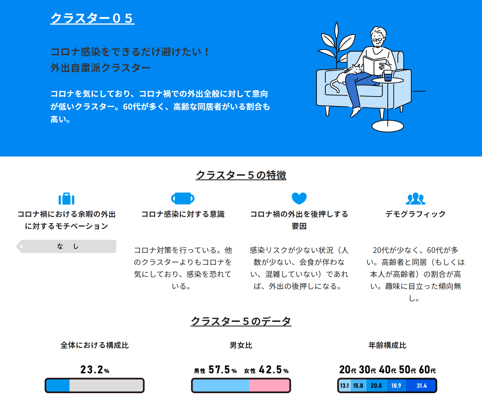 クラスター５説明画像