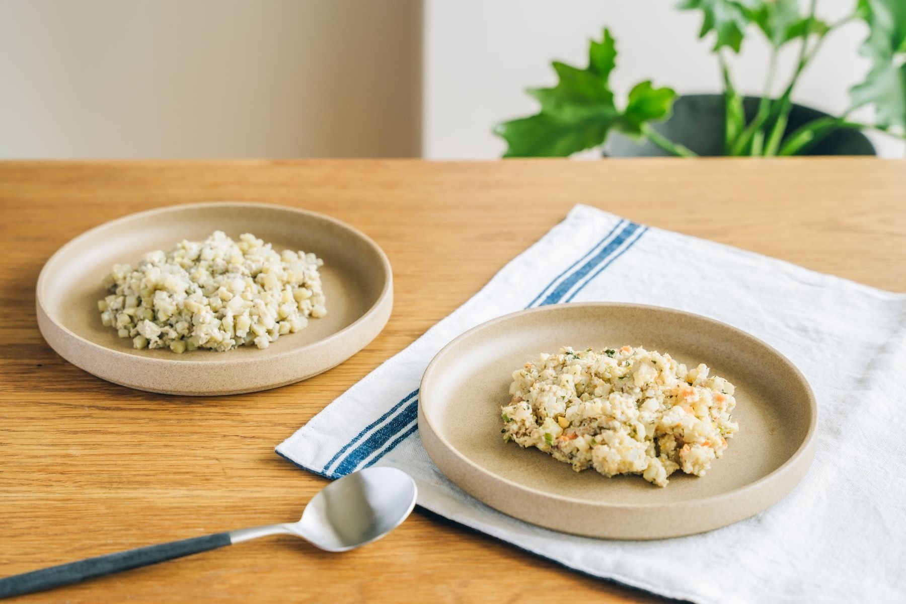 バディフード ヘルスケアプラス