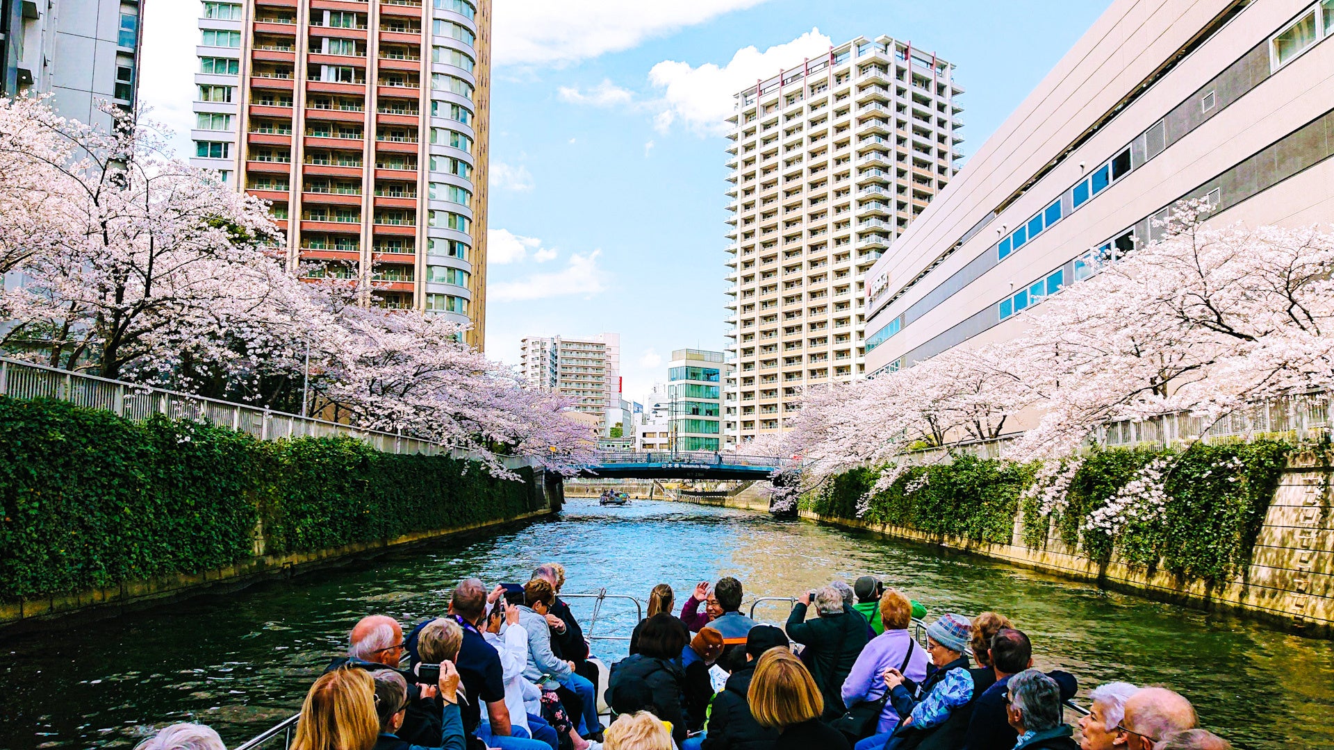 お花見 2月9日（日）熱海桜と梅園お花見ツーレポ | ツーリングクラブECHO