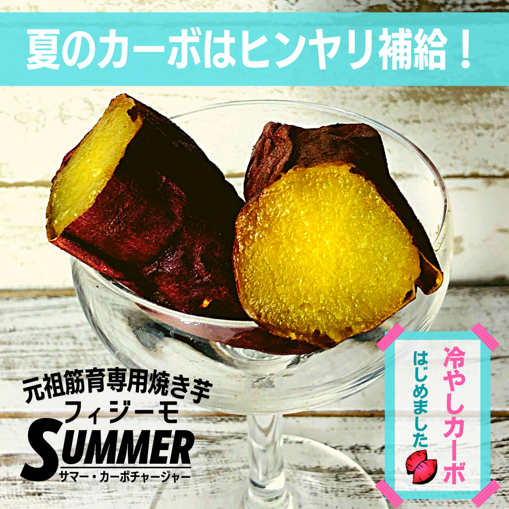 フィジーモ サマー・カーボチャージャ