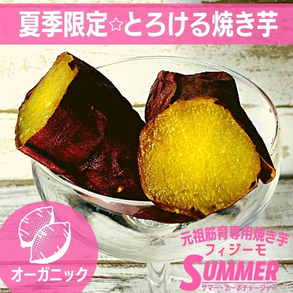 サマーカーボチャージャ