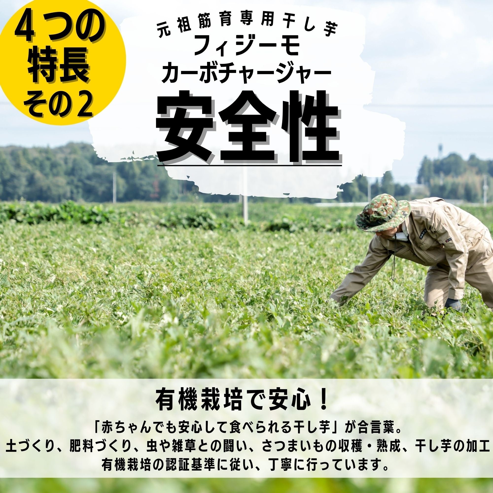 特長２　安全性