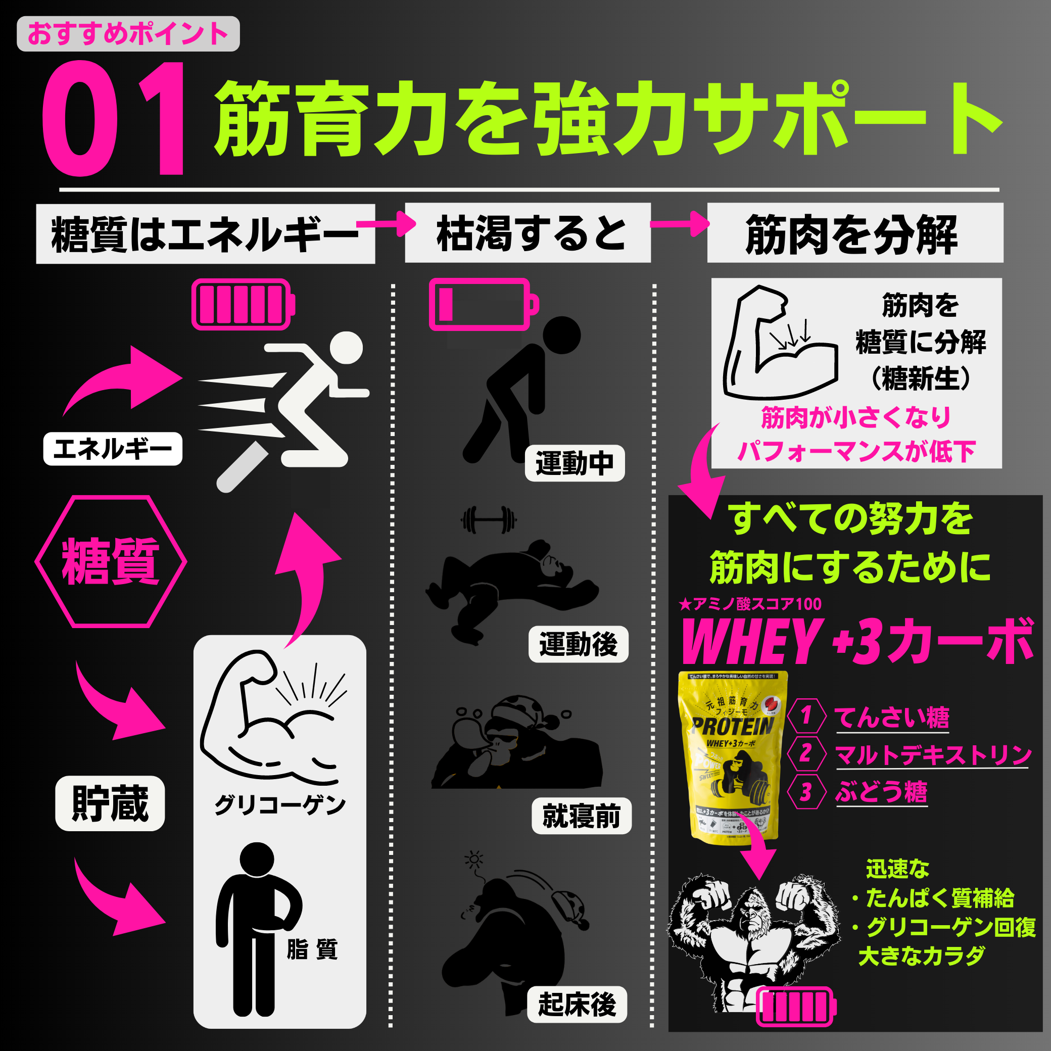 三種の糖質が筋育力をサポート！