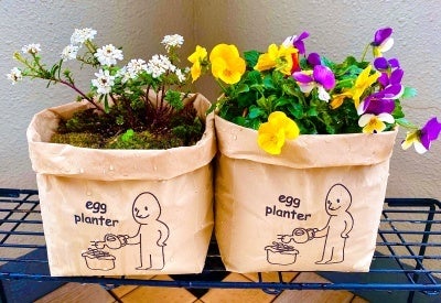 ネクアスの卵殻51％配合フィルムプランター