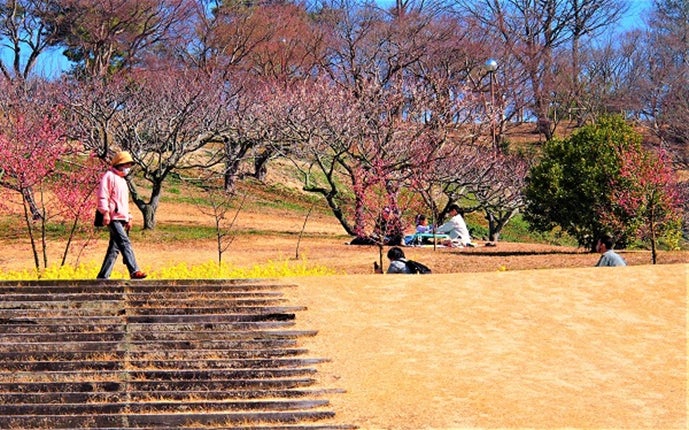 昨年の様子