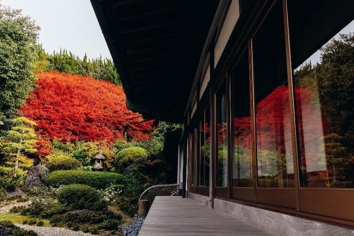 加古川の秋の訪れを告げる約500本の真紅「ドウダンツツジ」金城山