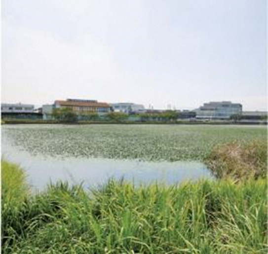 駅ヶ池・賀古駅家跡 (うまやがいけ・かこのうまやあと)