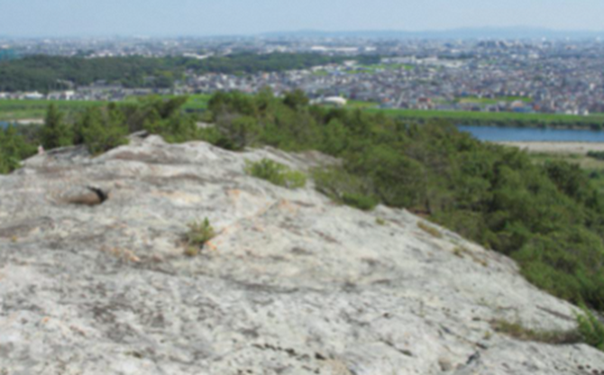 升田山・八十の岩橋 (ますだやま・やそのいわはし)
