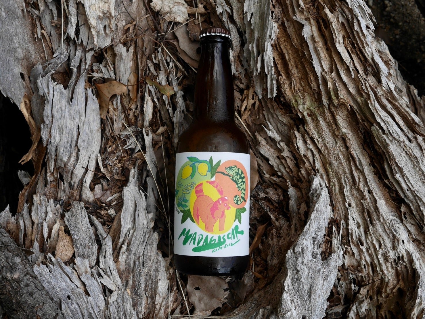 マダガスカル スパイス レモネード セゾン