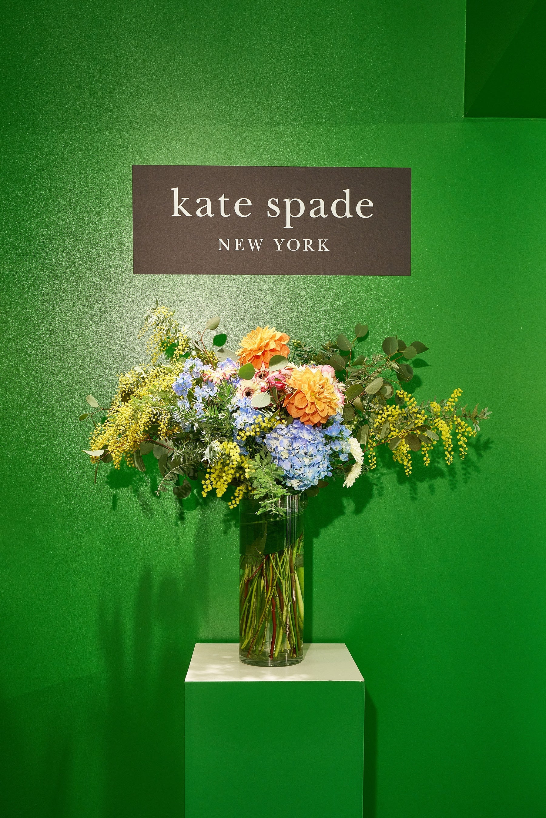 3F フォトコール