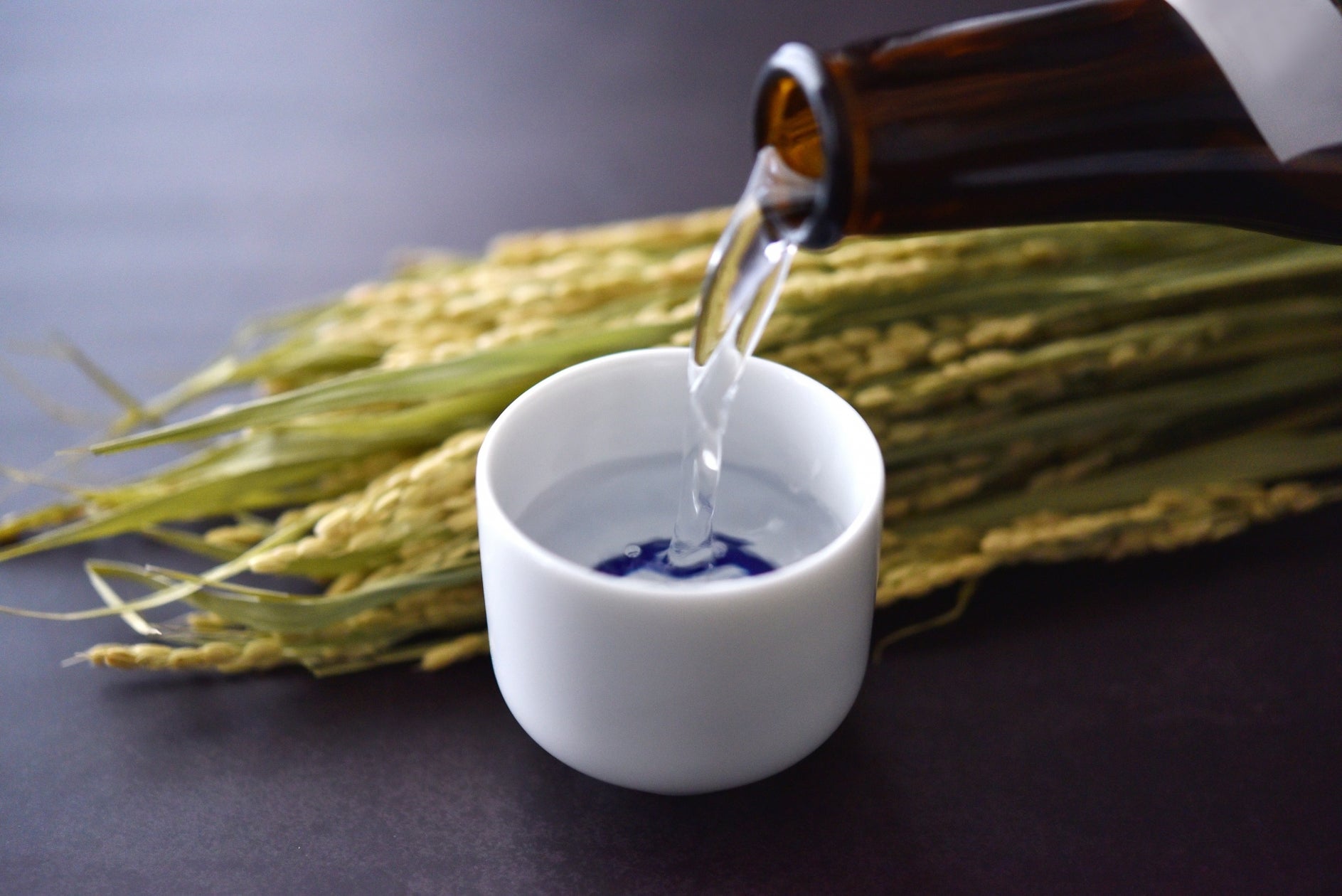 【いっちょう】とろとろ絹のような“新感覚”麻婆豆腐! 栃木県鹿沼市産の「麻炭」を使用した出来立て手作り豆腐の『黒色麻婆豆腐花(マーボートウファ)定食』を店舗限定で新発売