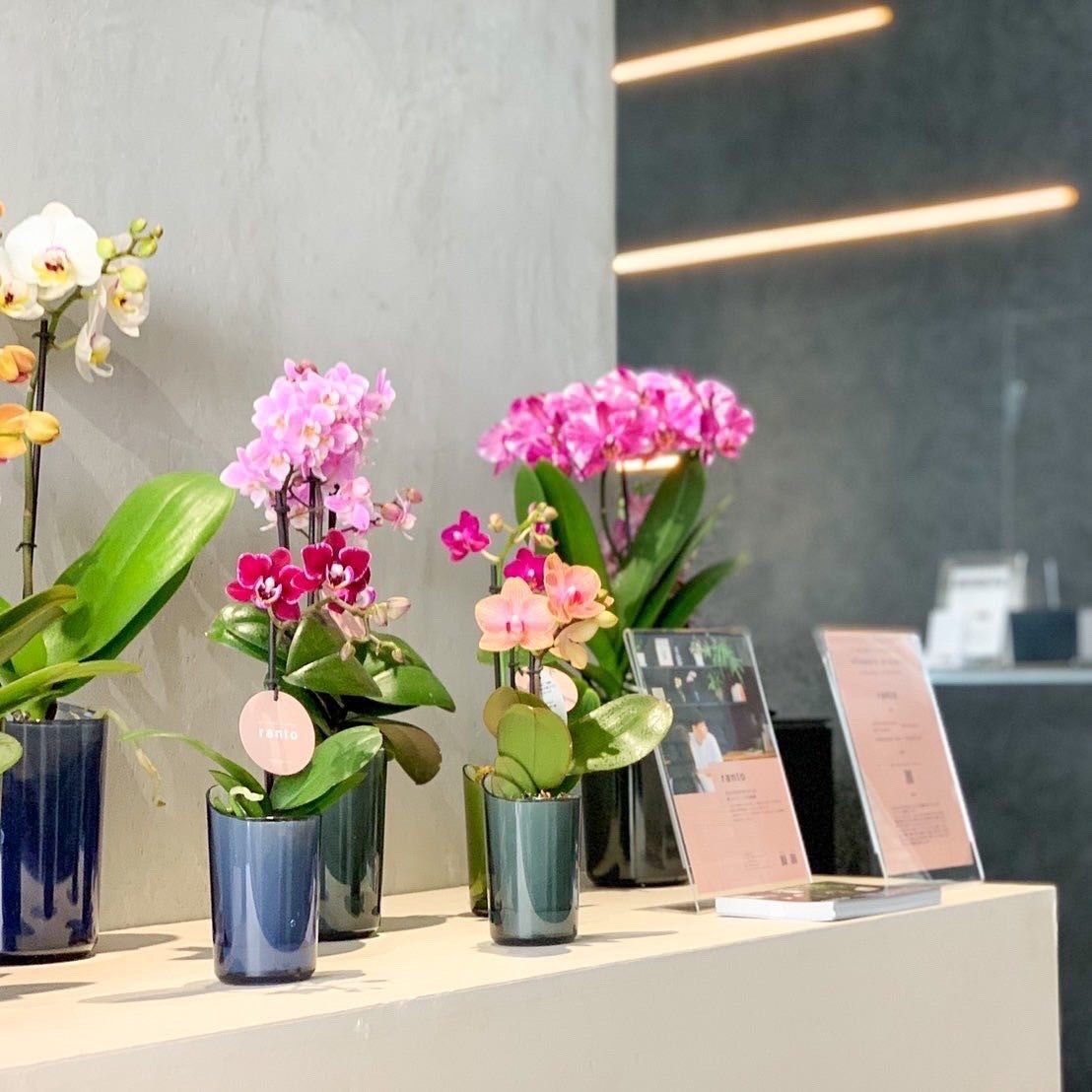 1階カフェスペース（ポップアップストア）