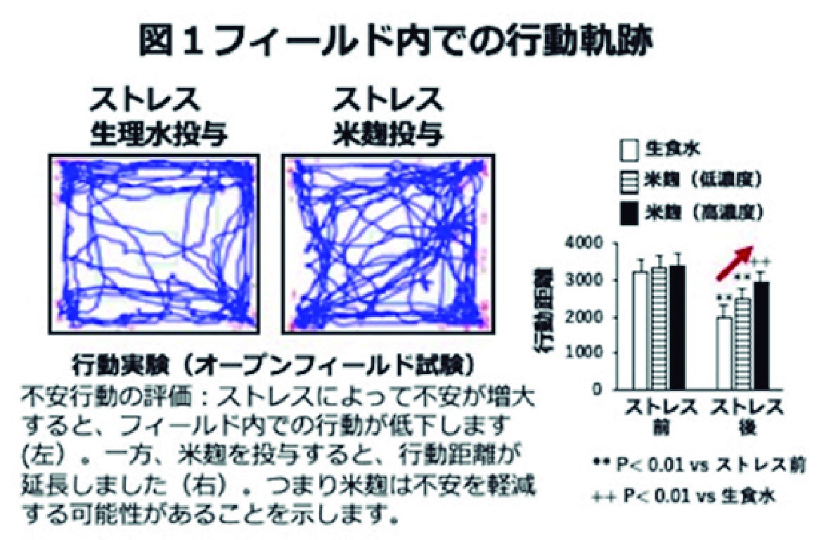 図１フィールド内での行動範囲