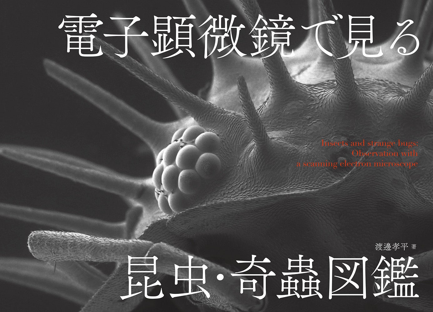 分子昆虫学 ポストゲノムの昆虫研究/共立出版/神村学（単行本） 分子生物学 - 株式会社東京化学同人