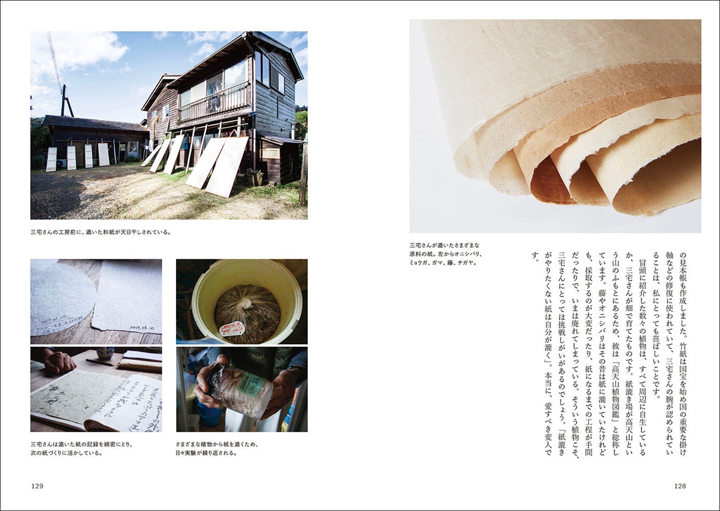 オニバシリ、ミョウガ、ガマ、藤、チガヤなど、さまざまな植物を紙に漉く（日本・京都）