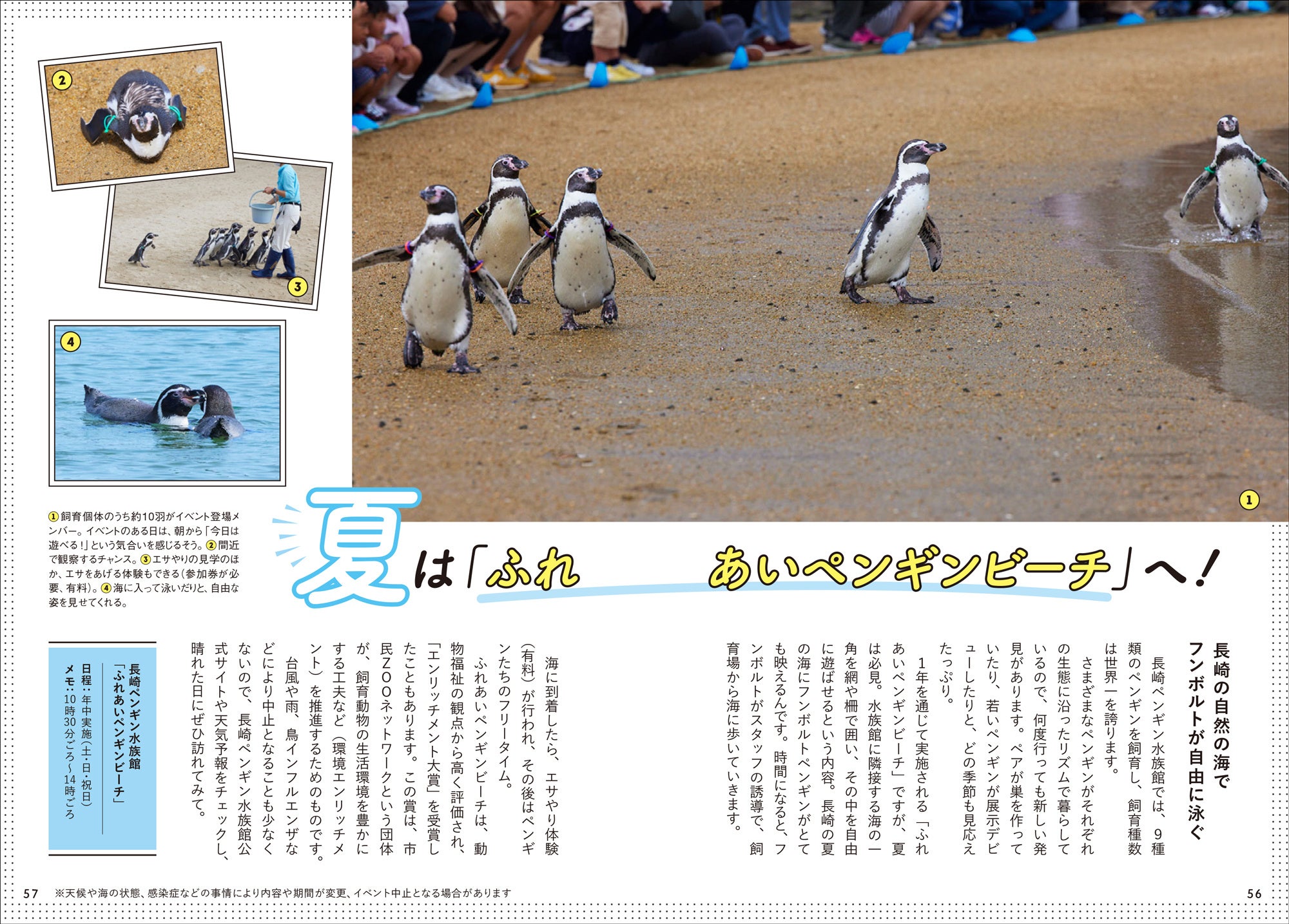この夏の水族館・動物園がもっと楽しくなる！『日本で会えるペンギン全