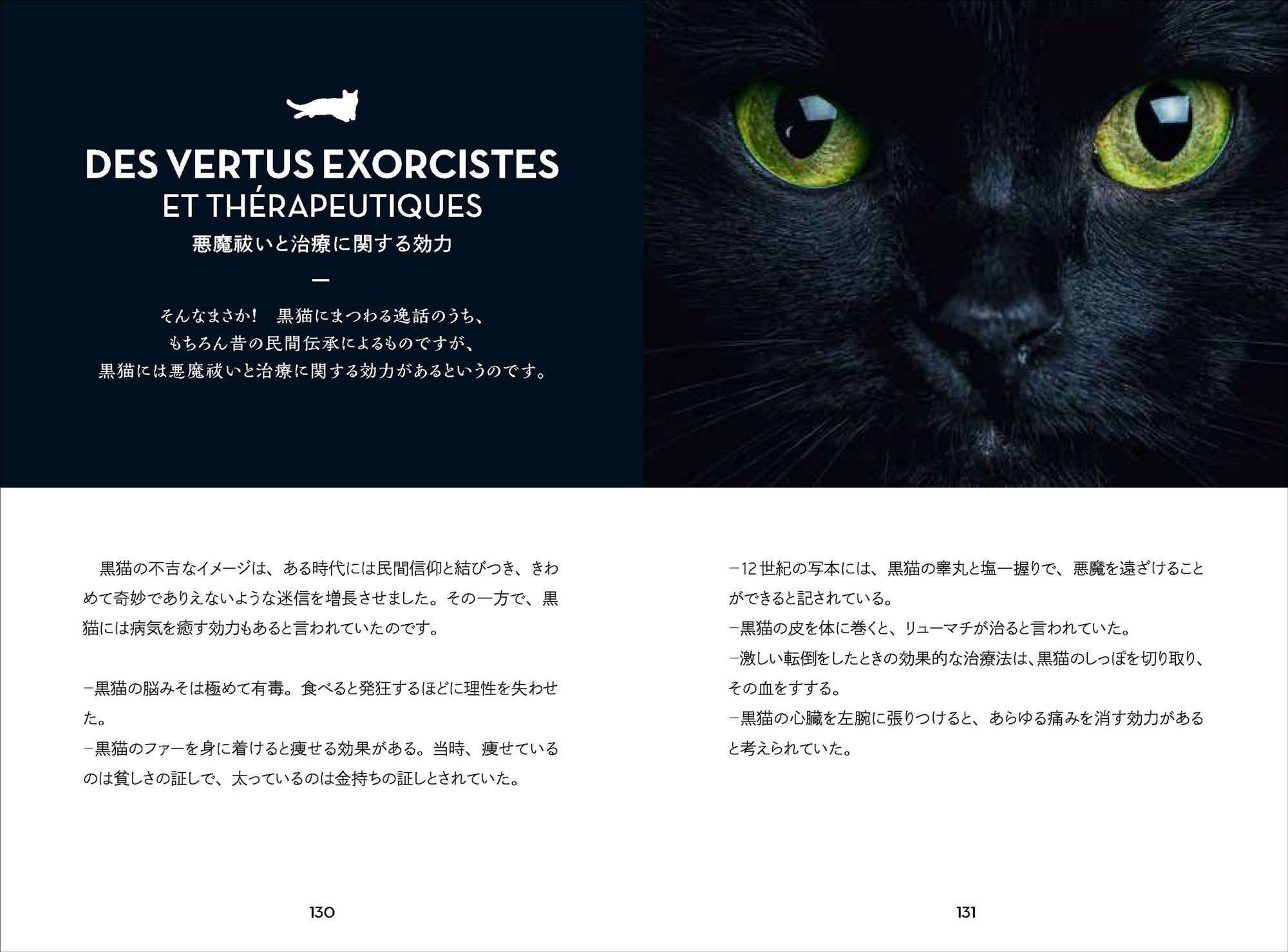 謎に包まれた神秘の黒猫エピソード満載！ 『月夜の黒猫事典』7月発売