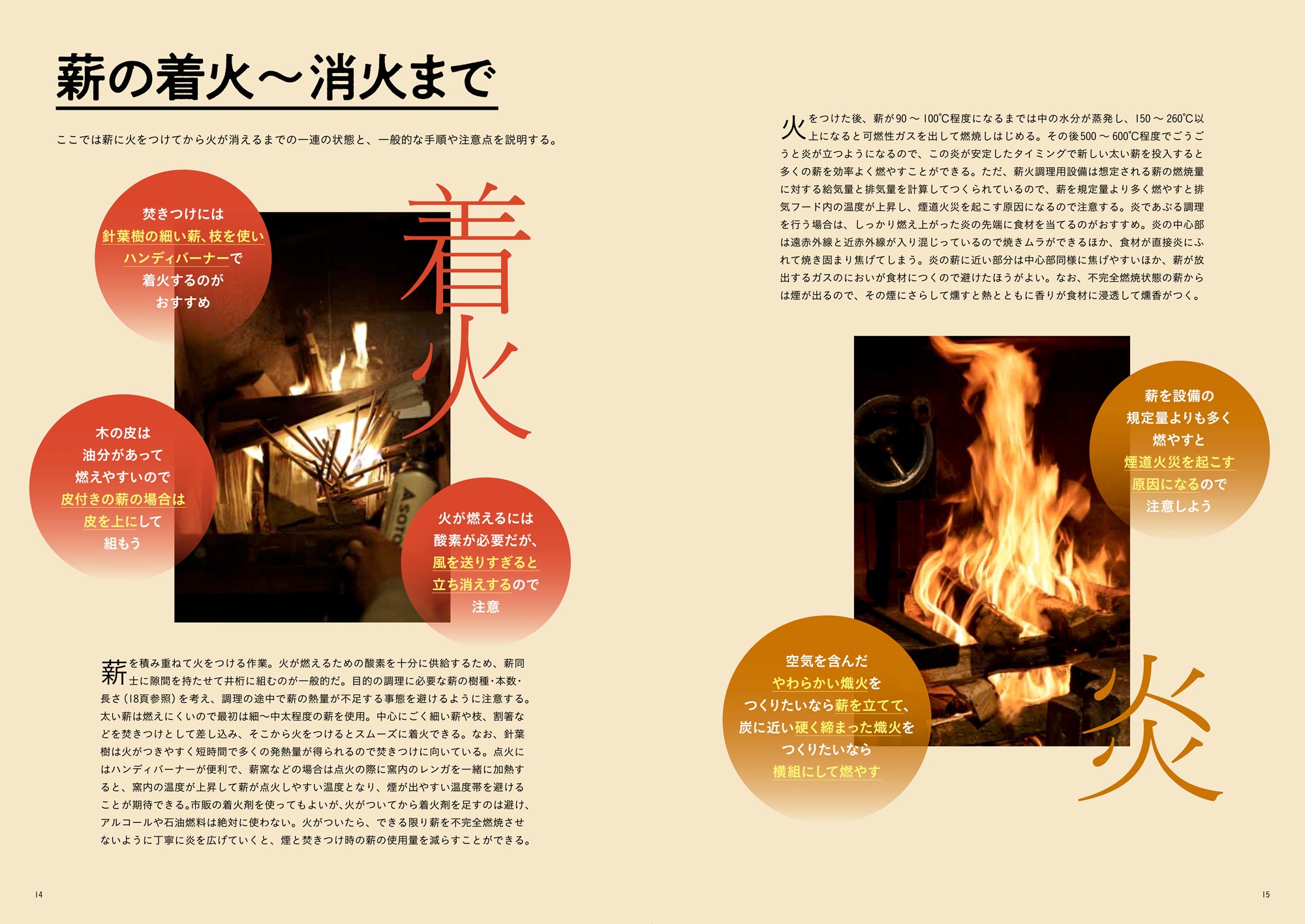 図解正本　むきもの教典　料理人必見!! 新到着 図解正本 料理人必見!! むきもの教典 語学・辞書・学習