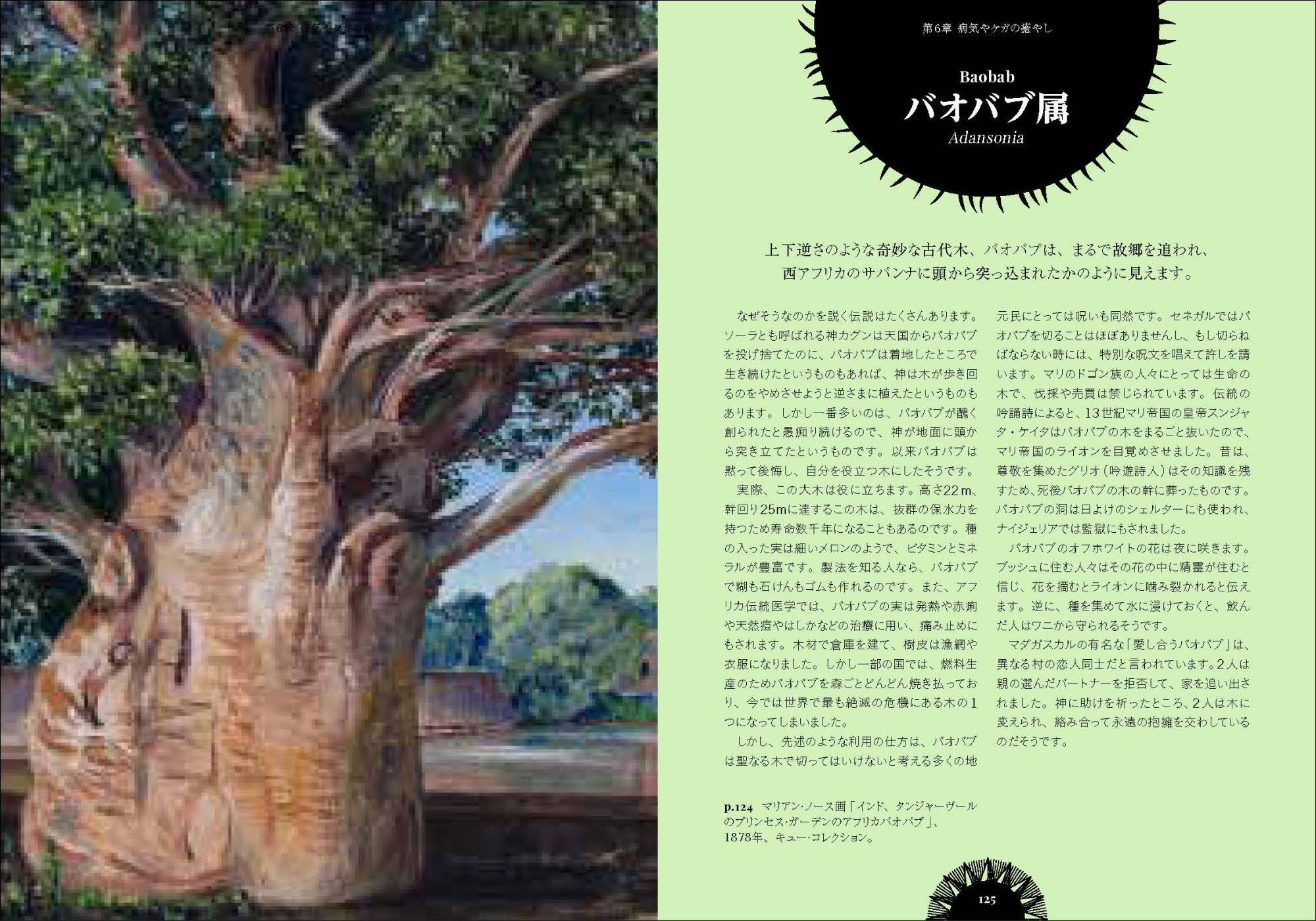 植樹マン「いのちの森の使者」 植樹マン「いのちの森の使者」 神秘の森の奥深くに息づく樹木の