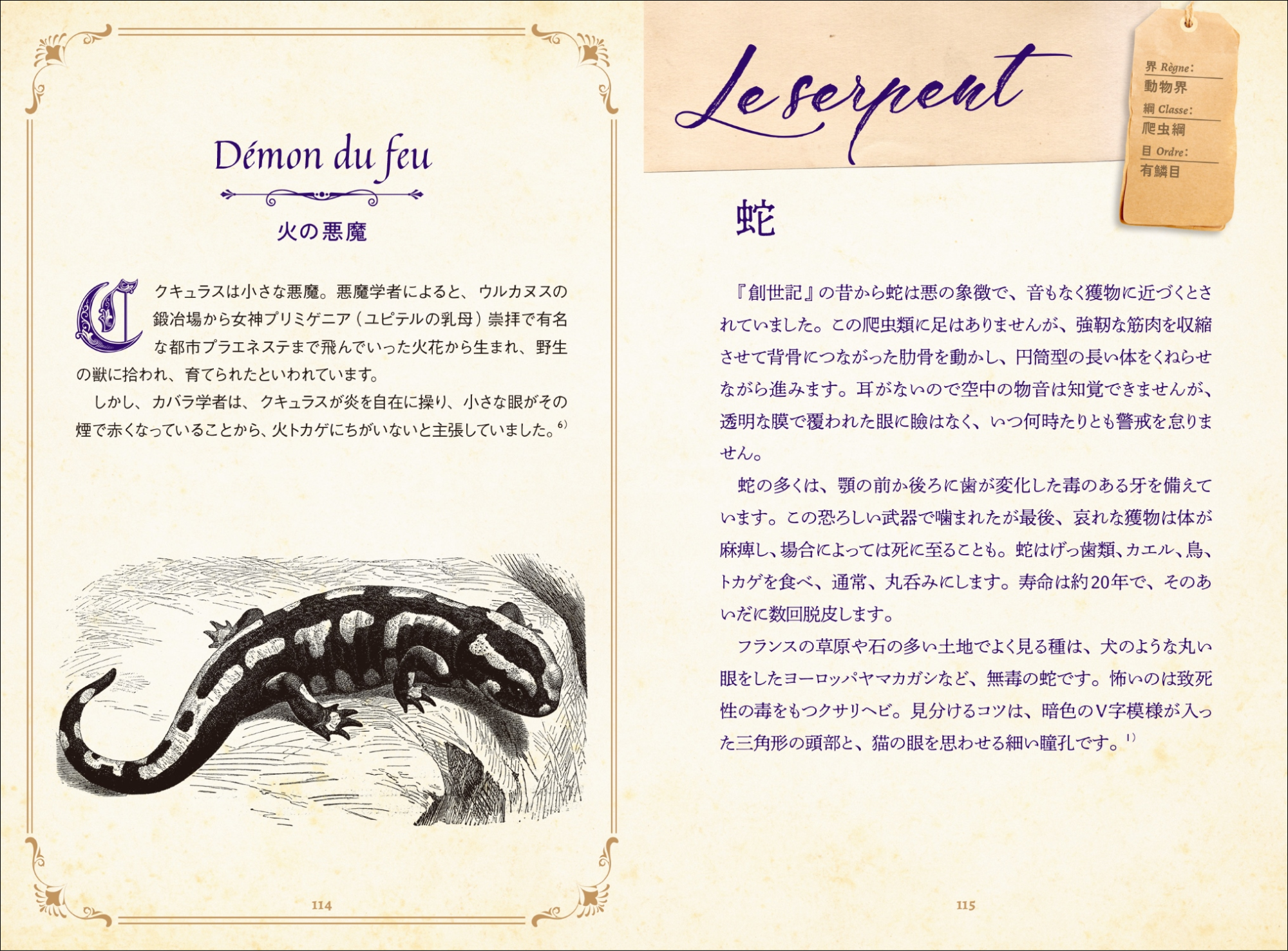 ひみつの本棚シリーズ 6冊まとめ 書籍】ひみつの本棚シリーズ - メルカリ