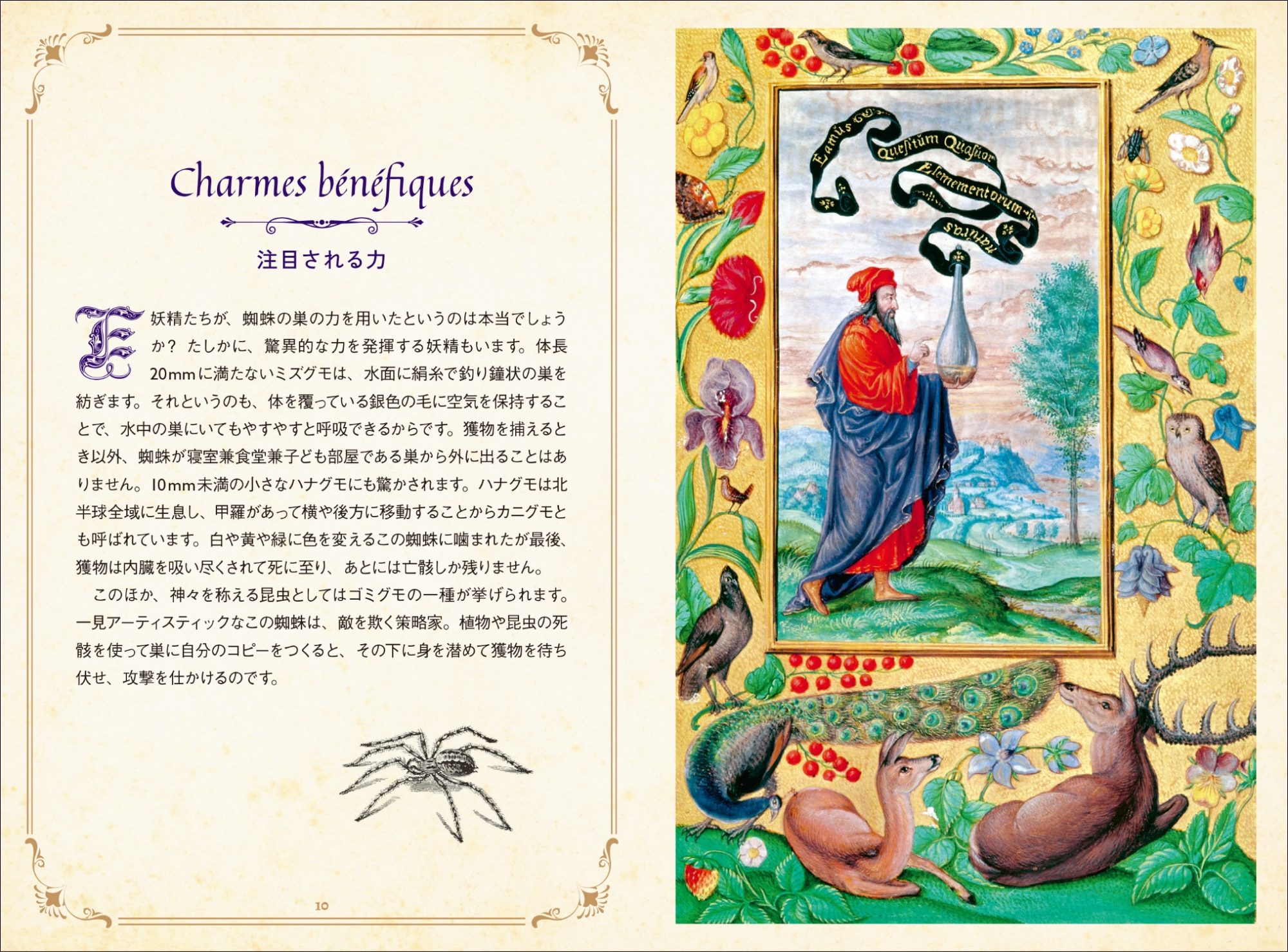 ひみつの本棚シリーズ 6冊まとめ 84584-397-