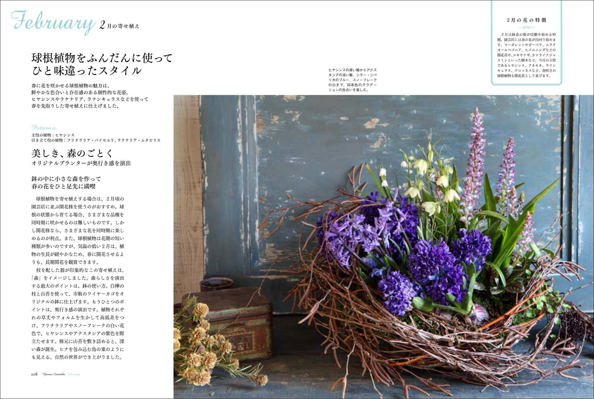 季節の美しい寄せ植え作りの秘密をたっぷり教えます！ 『新装版 12ヶ月