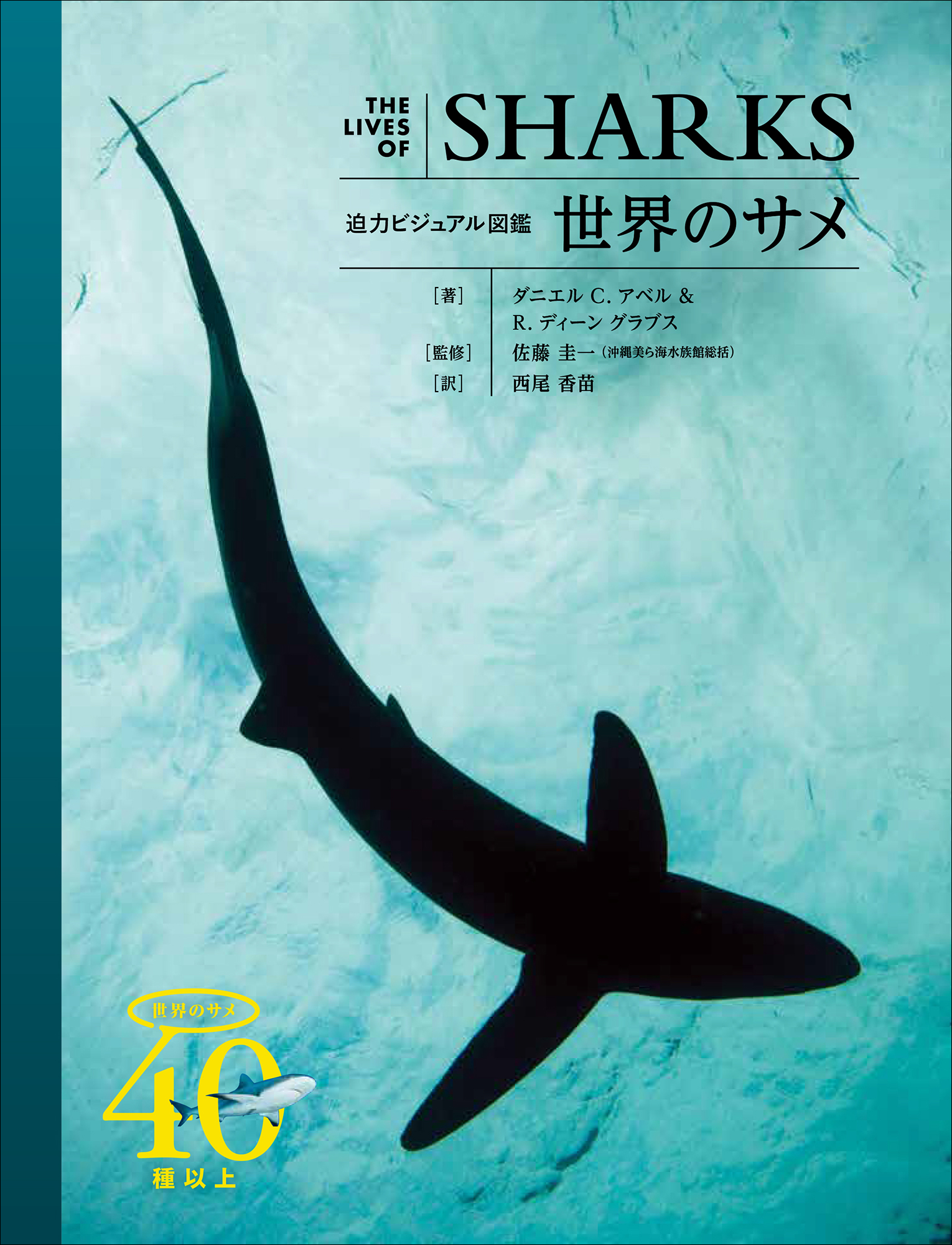海のハンター“サメ”の生態を研究者が徹底解剖『迫力ビジュアル